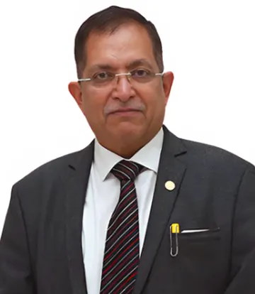 Mr. Shirish Belapure